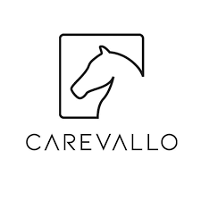 Logo Carevallo large
