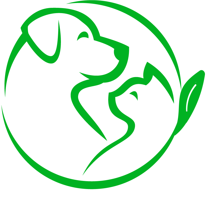 Logo TAVANI Green e1673610439604