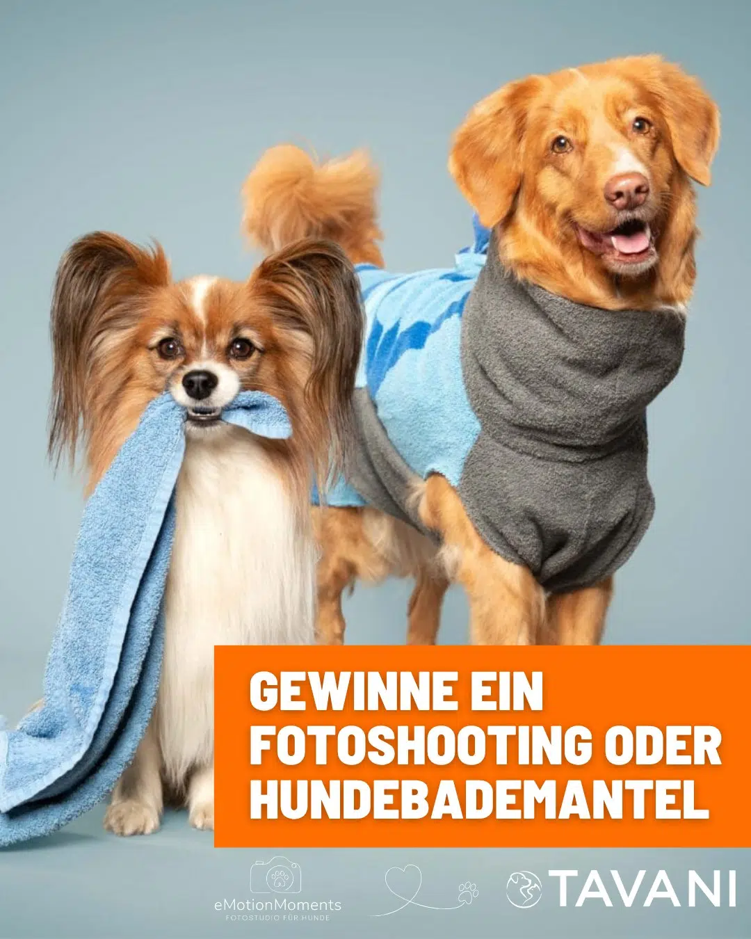 574552549 1418176973643234 98037452335186309 n