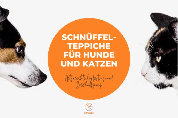 Schnüffelteppich für Hunde und Katzen