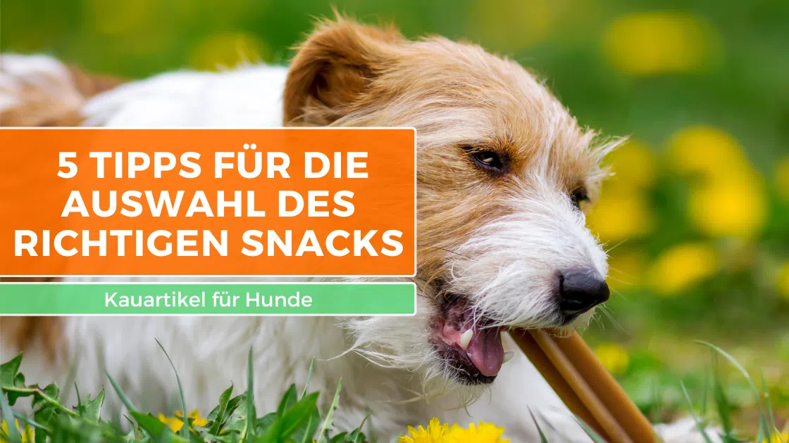 Kauartikel für Hunde