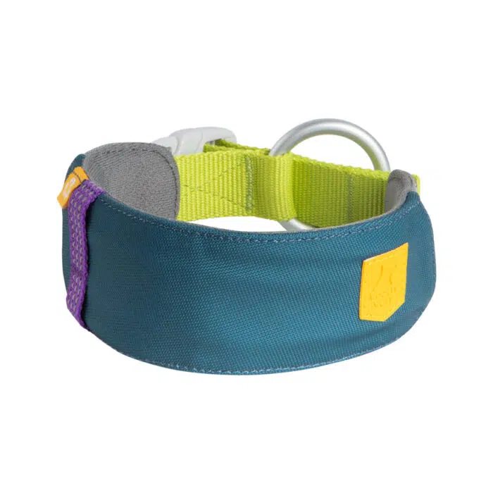 Alpha 360 Collar Deep Teal