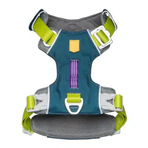 Alpha 360 Harness Deep Teal Mix front