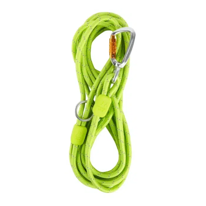 long rope leash lime lime 573505