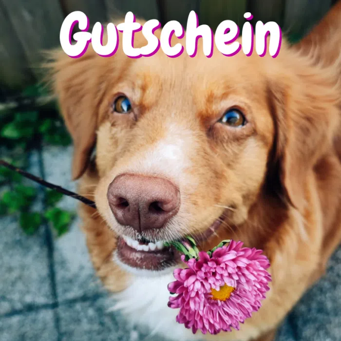 Gutschein