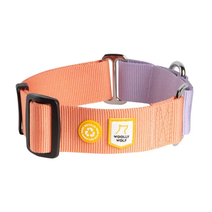 color block martingale collar salmon pink mix salmon pink mix s 688290